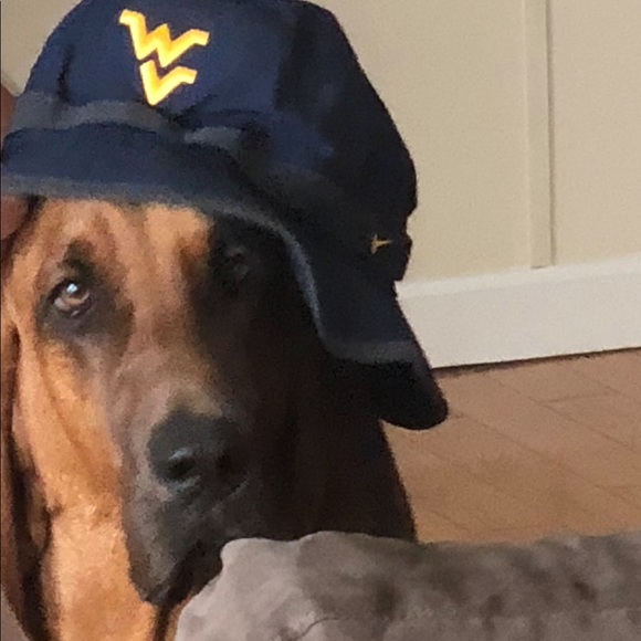 Meet your Posher, Brandie - Picture 5 of 5